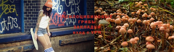 ешки Абаза