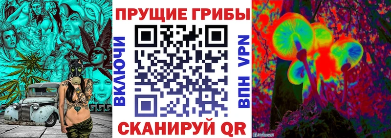 Псилоцибиновые грибы GOLDEN TEACHER  Ивантеевка 